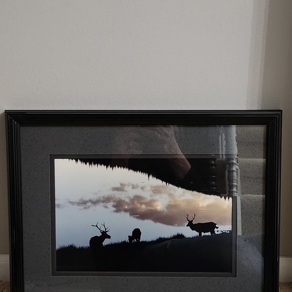 Wildlife Photo Art American Elk in Estes Colorado by Tom Mussehl - Picture 9 of 10